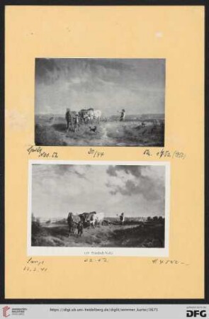 Voltz, Friedrich