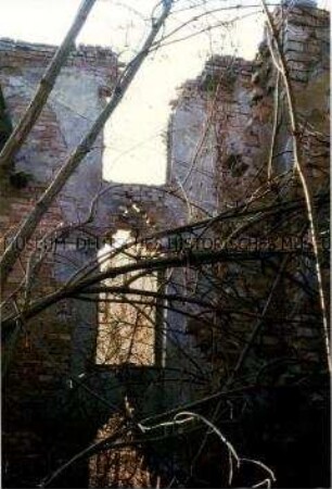 Blick auf eine Hausruine aus Backstein, im Vordergrund Gebüsch (Sonderthema: Wo ich zu Hause bin)