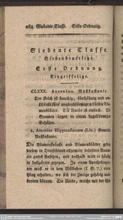 Siebente Classe. Siebenbeutelige