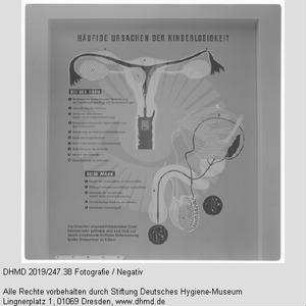 Nationale Hygiene-Ausstellung - Raum 14 - "Häufige Ursachen der Kinderlosigkeit"
