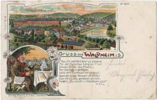 Waldheim. Ortsansicht, kolorierte Ansichtskarte