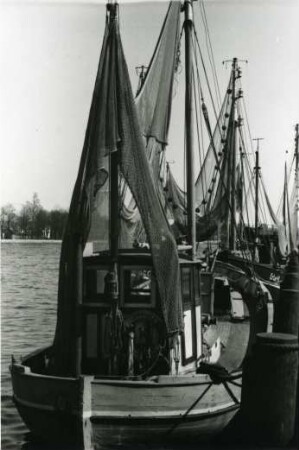 Fangflotte im Hafen von Eckernförde, Norddeutsche Küste