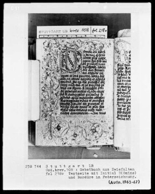 Gebetbuch aus Zwiefalten — Initiale D(omine) und Bordüre, Folio 218verso