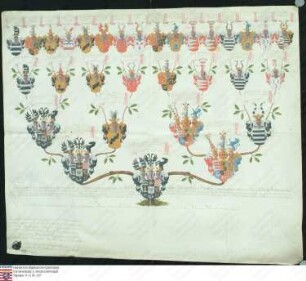 Ahnenprobe des Julius Gebhard v. Hoym. - ausgefertigt 1749 Juni 25, Pergament