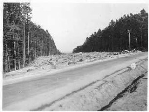 Freimachen des Baufeldes im Bereich der Kreuzung mit der L 1192 Rohr - Musberg in km 202,743