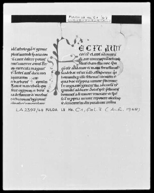 Flavius Josephus, Antiquitates Judaeorum Buch 1-13 — Initiale F(ecit), Folio 7recto