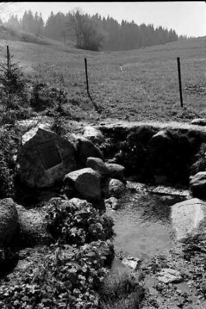 Der Donauursprung (Bregquelle) an der Martinskapelle bei Furtwangen