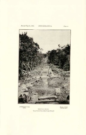Plate *. Anurádhapura. Toluvila ruins. View north from south quadrangle.