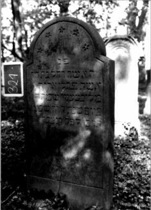 Grabstein 321 (Index: 100111976) Material: Sandstein Zustand: gut Maße HxBxT: 140x63x13 cm Beschreibung: Stele, schräg eingezogener Rundbogenabschluß, Schriftfeld eingetieft Symbolik: Blüten: Grabstein 321