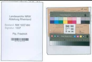 Entnazifizierung Friedrich Pip , geb. 17.08.1900 (Reichsbahnsekretaer)