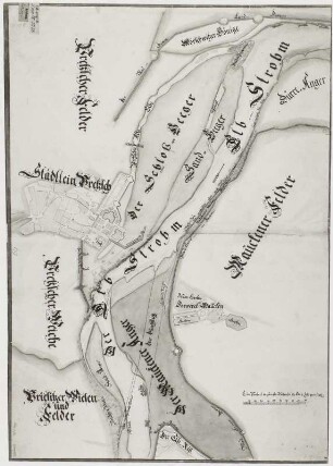 Pretzsch, Plan von Pretzsch und Umgegend (Schloß und Schloßgarten mit geplanter Elbstromverlegung)