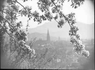 Freiburg von Norden