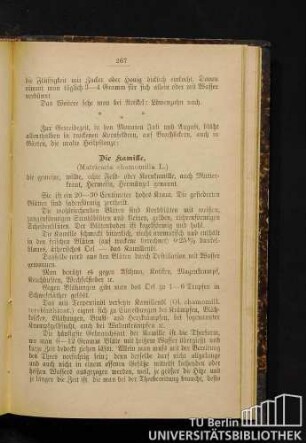 Die Kamille.