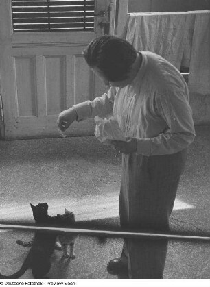 Roger Rössing beim füttern zweier Katzen
