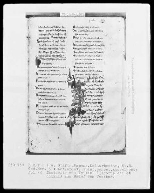 Neutestamentliche Schriften, Bibliorum sacrorum pars finalis — Initiale I(acobus dei et domini), Folio 44recto