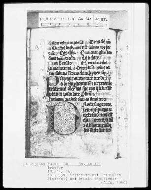 Brevier — Initiale P(ateant) und D(ixit insipiens), Folio 55verso