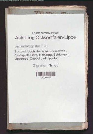Einkünfte des Kantors und der Schule, Schulgüter