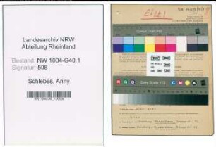 Entnazifizierung Anny Schlebes , geb. 06.03.1914 ()