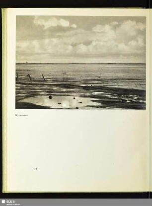 Wattenmeer