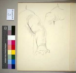 Arm- und Beinstudien