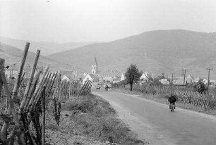 Altschweier [Ammerschwihr]: Straße nach Altschweier [Ammerschwihr], links Weinreben