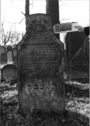 Grabstein 230 (Index: 100116016) Material: Sandstein Zustand: verwittert mit fast völligem Textverlust Maße HxBxT: 149x68x13 cm Beschreibung: Stele mit konkav eingezogenem Segmentbogenabschluß, eingetieftes Schriftfeld Symbolik: Krone, Ranken: Grabstein 230