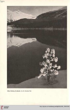 49: Moderne Photographie