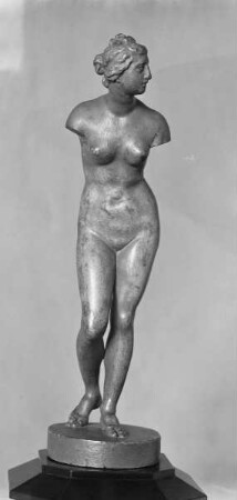 Venus