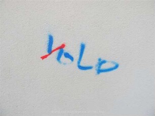 YoLo