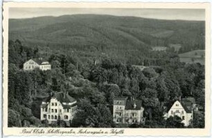 Bad Elster. Schillergarten, Sachsengrün