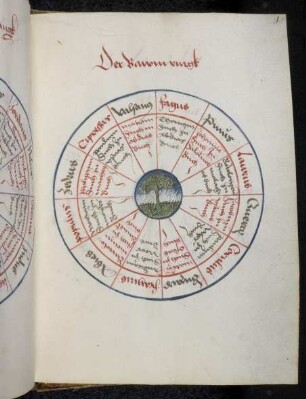 Kreisschema zur Ermittlung eines Schicksalspruchs aus dem "Baum Ring"