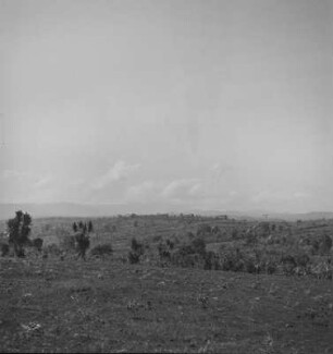Anbaufläche (Kamerunreise 1937)