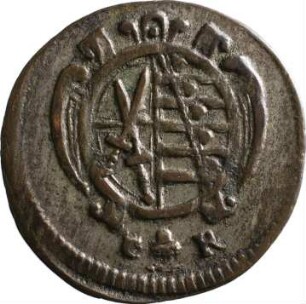 Münze, Pfennig, 1676