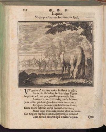 Equus - Das Pferd