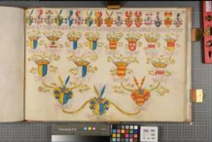 Proband: Plettenberg, Bernhard von; Vater: Plettenberg, Bernhard von; Mutter: Fürstenberg, Odilia von: Westfalen, Hzgtm, Ritterschaft