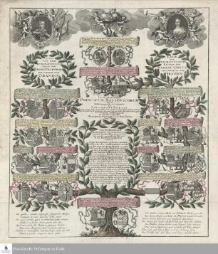 Tabula Genealogica Principum Nassovicorum lineæ Dillenburgensis et Diecensis qui Fœderati Belgii Provincias vel universas vel earumnonnullas gubernarunt, a primo Reipublicæ Fundatore ad eum usqe qui hodie feliciter rebus præest