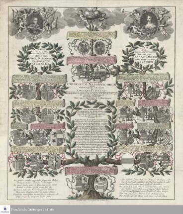 Tabula Genealogica Principum Nassovicorum lineæ Dillenburgensis et Diecensis qui Fœderati Belgii Provincias vel universas vel earumnonnullas gubernarunt, a primo Reipublicæ Fundatore ad eum usqe qui hodie feliciter rebus præest