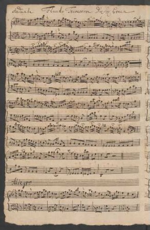 Sonaten; fl, bc; d-Moll; GraunWV Cv:XVII:79