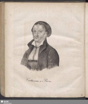Catharina v. Bora