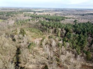 Tangstedt: Wiemerskamp: Wiemerskamper Weg: Luftbild des Duvenstedter Brooks in Richtung Südosten