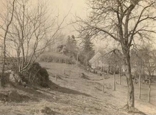 Oberlausitz. Quarzriff östlich von Bautzen (Belgern?)