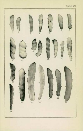 Tafel VII