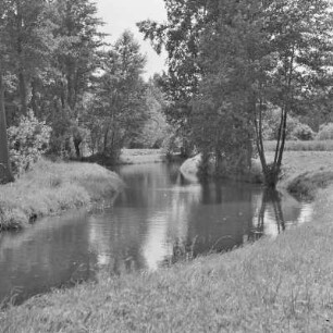 Landschaftsbild. Trotzkefließ in Leipe. : Wobraz krajiny. Groble w Lipjem.