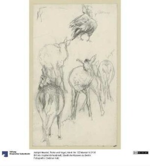Rehe und Vogel