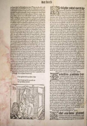 [Hyr heuet an de vorrede in den profeten Johel]