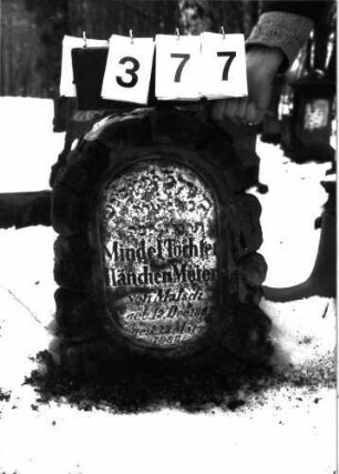 Grabstein 377