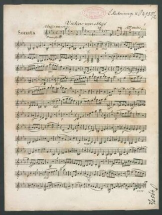 Violino non obligé