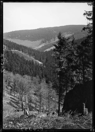 Thüringer Wald bei Tabarz