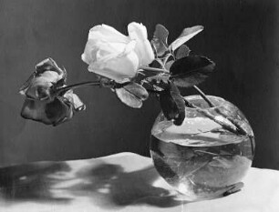 Blüten in Vasen. Kugelige Glasvase mit einzelner Rose