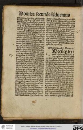 Dominica secunda adventus.